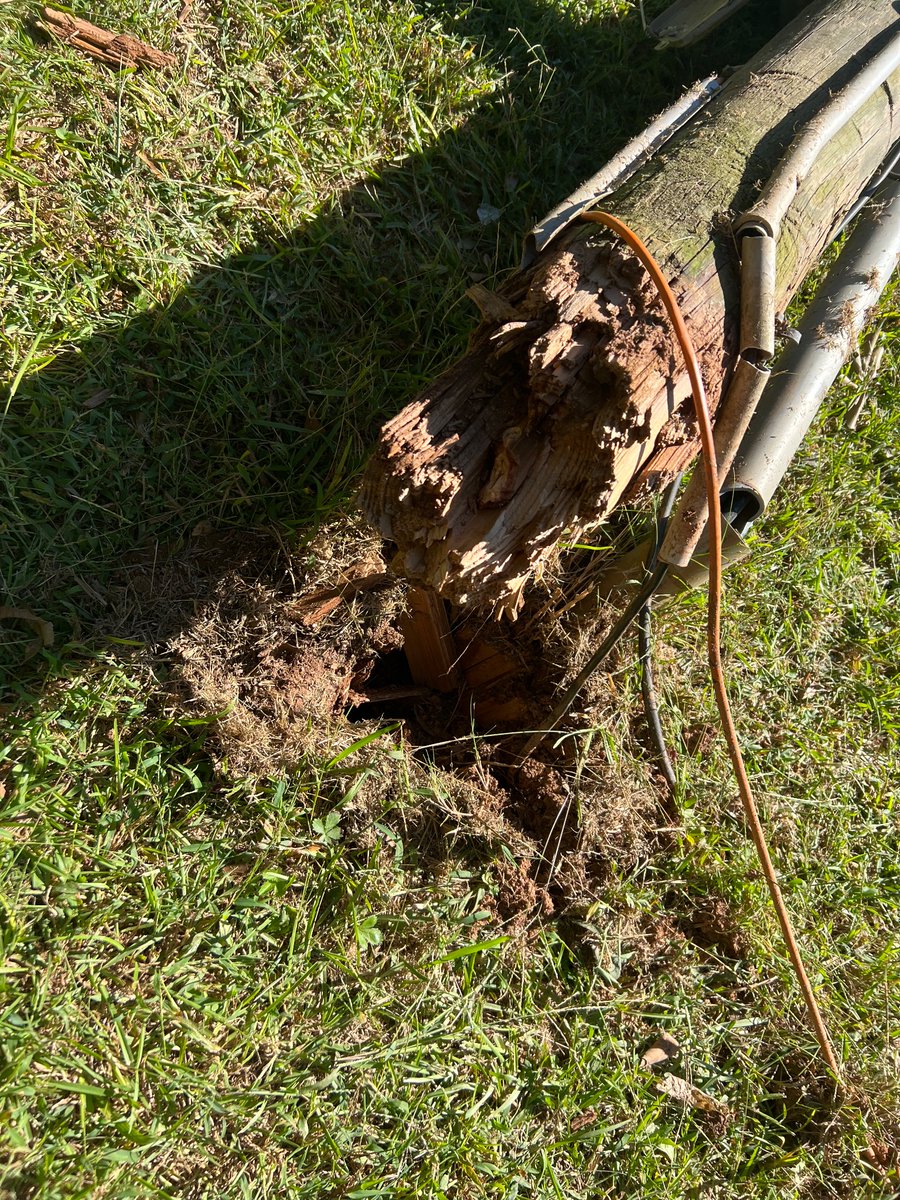 _sincerelyXXI's tweet photo. @GetSpectrum A technician came to my home, climbed up the telephone pole and knocked down my communication pole and left. https://t.co/67f2wGz93H
