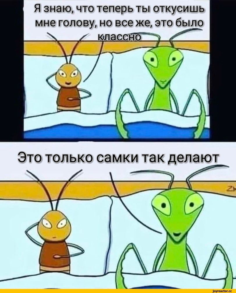 Mineka_SWAG's tweet photo. мне некогда проверять но я уже вижу сколько миллионов человек перестали меня читать 🥲🥲

кто остался ловите мем https://t.co/HZN0fKc79u