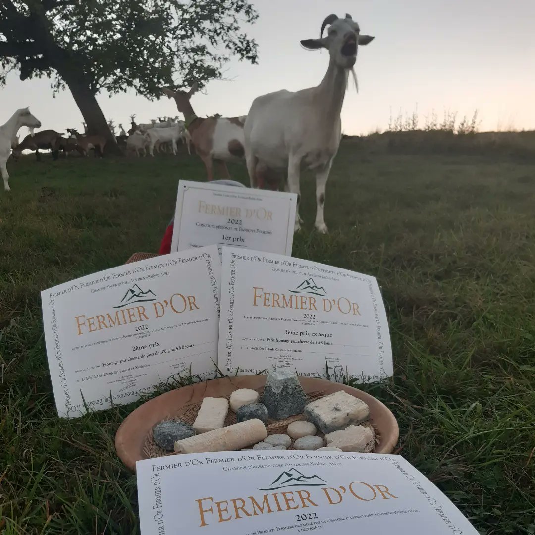 FabreAdeline's tweet photo. Au #SommetDeLElevage c'était remise des récompenses pour Les Fermiers d'Or. Merci à @BanquePopAura et à la région @auvergnerhalpes de mettre en avant les producteurs fermiers. Merci aux @ChambagriAURA pour l'organisation de ce concours.
Pour la 2ème année 3 prix sur les fromages https://t.co/4tHwWlG0C0