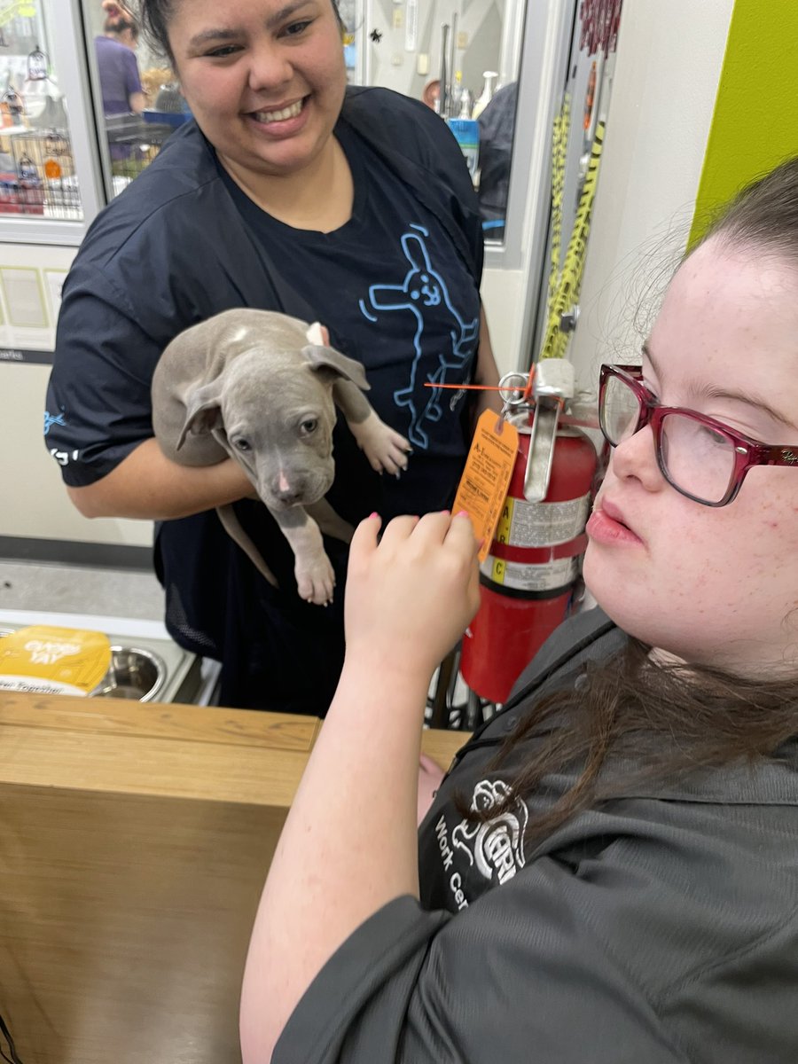 nataliequichoc1's tweet photo. Job exploration at @Petco
#ClarkWorkCenter learning about job suites and qualifications https://t.co/XA4anQOrJR