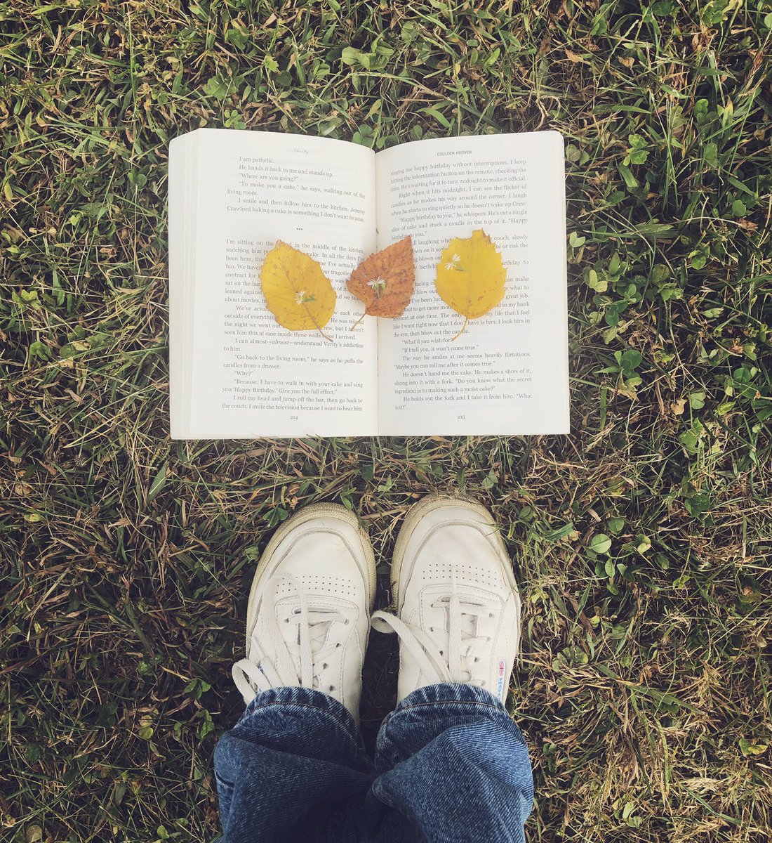 StrandMag's tweet photo. Gloomy days are meant for reading ☁️what is your favorite gloomy day read?
*
*
*
*
#gloomydays #rainyreading #bookrecommendation #bookstagram #bookphotography #booksandnature #fallbooks #mysterybooks #thrillerbooks #thestrand #strandmagazine #literarymagazine #reading #read https://t.co/ZALCjYJ3AV