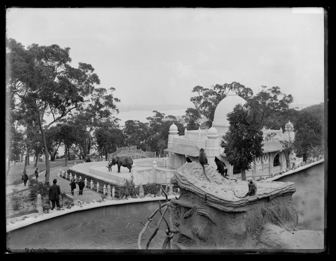 #OnThisDay 7 Oct 1916 Taronga Zoo officially opened on the shores of Sydney Harbour in Mosman. The NSW Govt granted 43 acres for the new bar-free zoo. It was home to monkeys, seals, elephants &amp; over 500 birds.

Browse more photos in our catalogue ow.ly/BkTJ50KViKi
