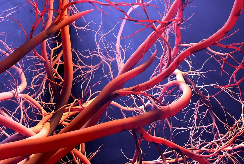 A preclinical study shows that a pair of genes work together to keep blood vessels healthy, suggesting a potential target for treating cardiovascular-associated diseases, according to new findings from @WCMDeptofMed researchers. bit.ly/3rCs13Y