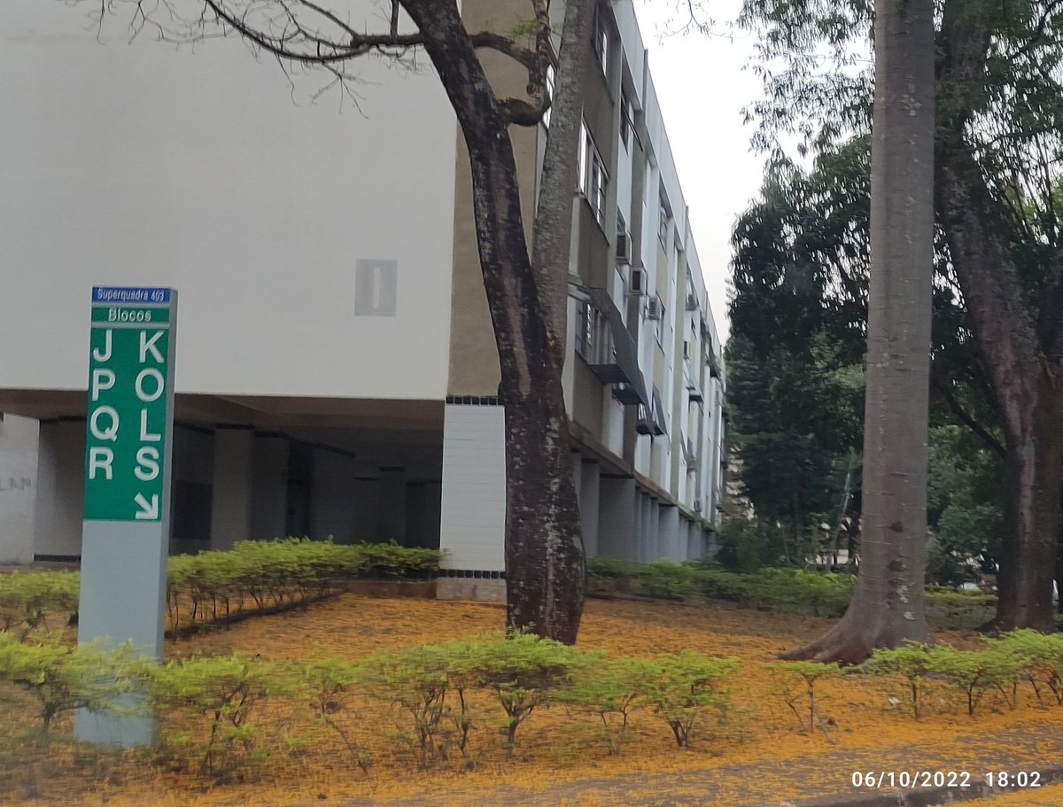 E esse belo tapete amarelo? <a href="/BrunnoMeloCBN/">Brunno Melo</a>