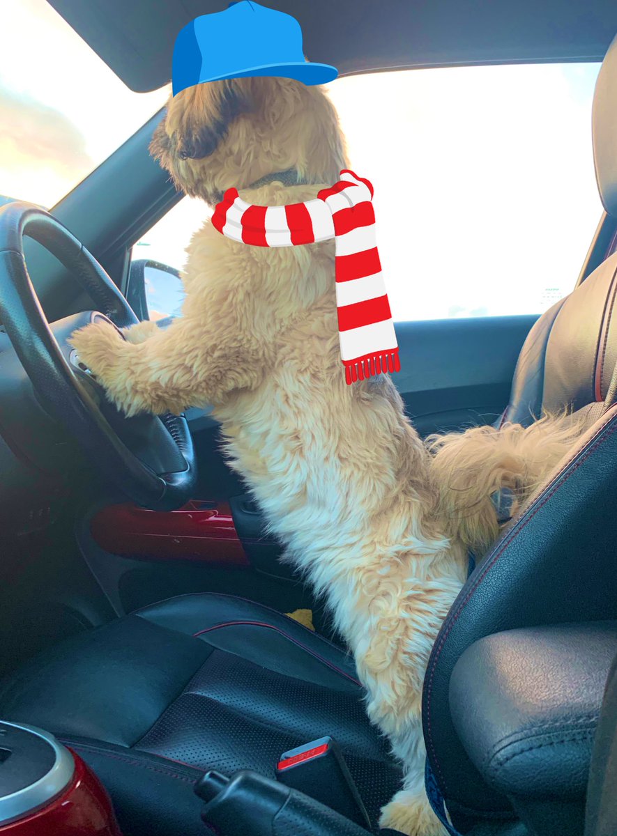 Benny Fitzpatrick tweet media