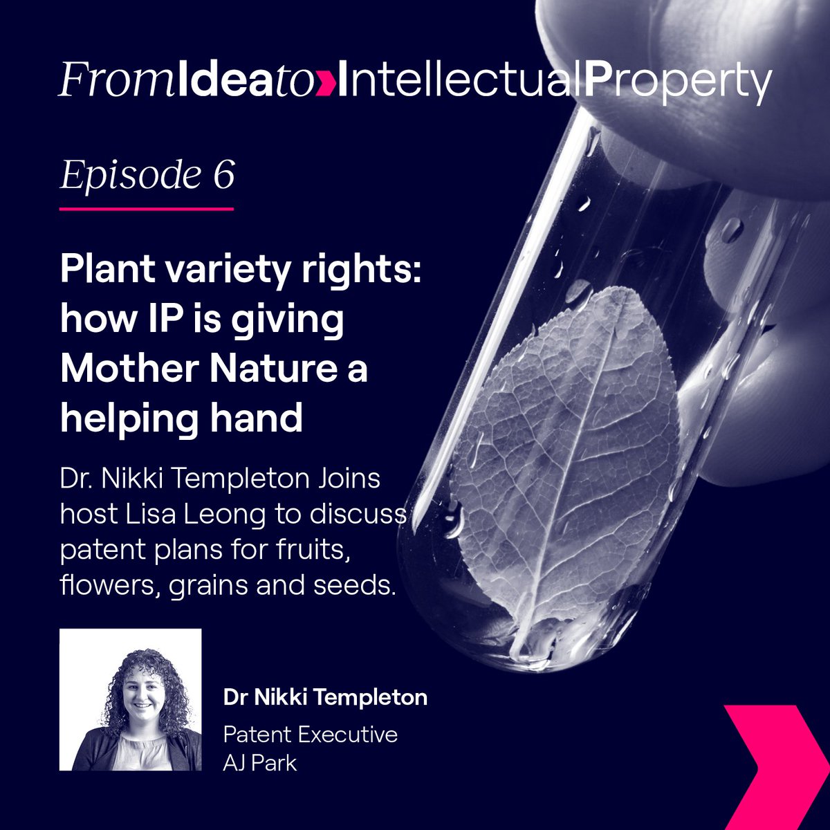 The latest podcast episode in From Idea to IP has dropped. Hear from Nikki Templeton to gain a better understanding of the ways to obtain IP protection for new plant varieties.

Listen to the full episode at ajpark.com/insights/podca…