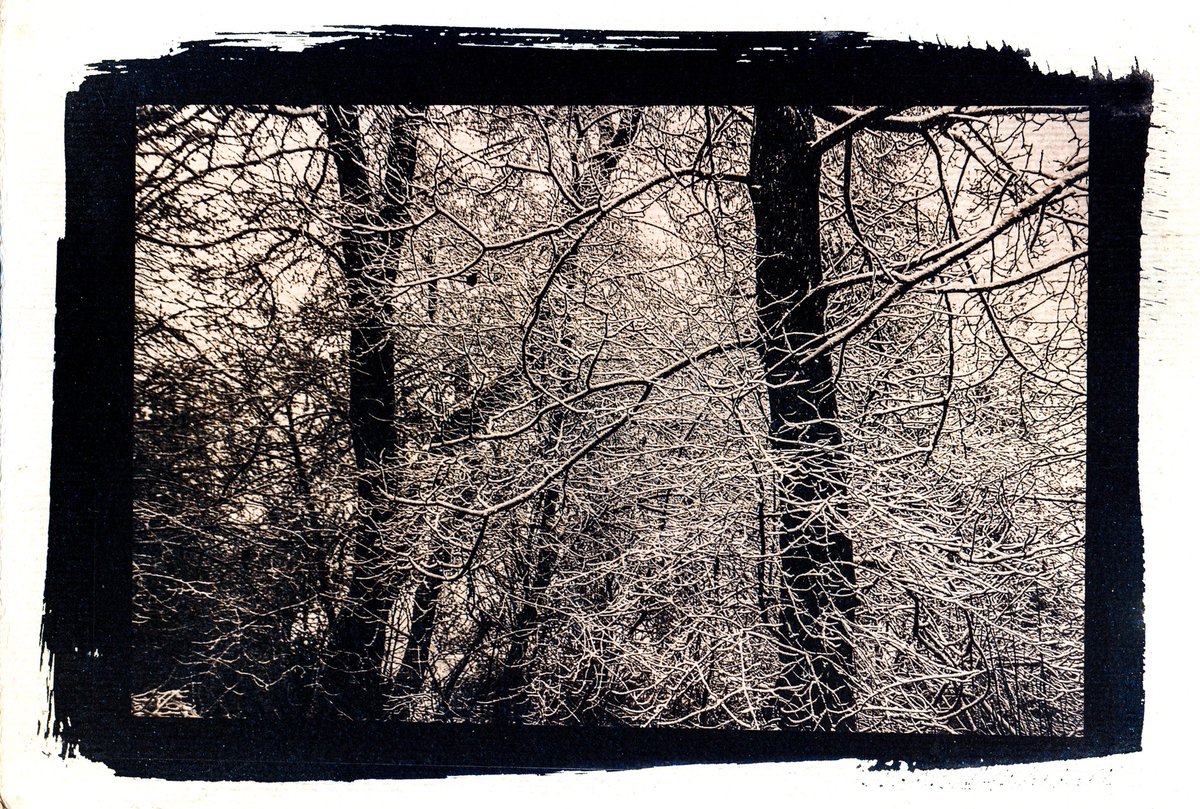 Трет ден од #cyanoctober 
 Денешната тема е:
 - летајќи низ гнездото

 од дигитален негатив
 Хартија Fabriano murillo 260gsm
 тонирани со црн чај заштитен со пчелин восок и масло од лаванда
Ако ви се допаѓа, можеме да ви ја врамиме или да ви ја направиме на ранче или тоте торба.