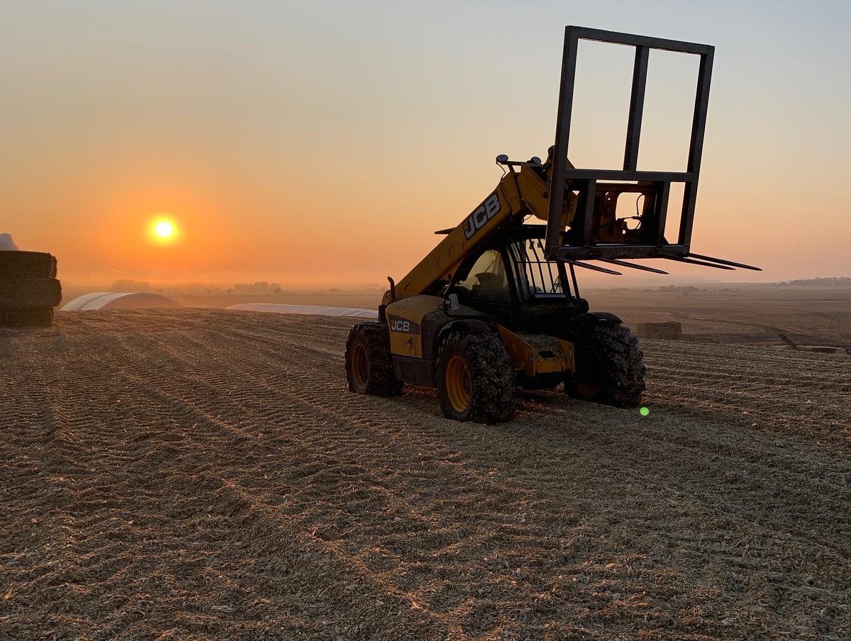 BarrAg2's tweet photo. What a beautiful day to finish the 2022 corn silage pit by putting the tarp on 🌽🌅 

It's a wrap!

HUGE THANK YOU to everyone involved for their hard work 🙏🏻 #greatjob #thankyou #corn2022 #cornpit #cornsilage #barrag #farm #season2022 #corn #canada #alberta #harvest https://t.co/rSuA33EIES