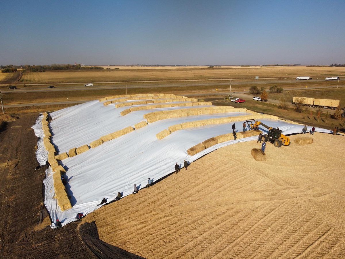 BarrAg2's tweet photo. What a beautiful day to finish the 2022 corn silage pit by putting the tarp on 🌽🌅 

It's a wrap!

HUGE THANK YOU to everyone involved for their hard work 🙏🏻 #greatjob #thankyou #corn2022 #cornpit #cornsilage #barrag #farm #season2022 #corn #canada #alberta #harvest https://t.co/rSuA33EIES