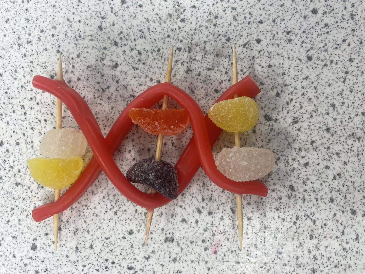 BBSScience1's tweet photo. Young medics learning all about the structure of DNA and associated genetic disorders #enrichment #inspiringmedicsofthefuture #wearebbs https://t.co/hifUn53m9o