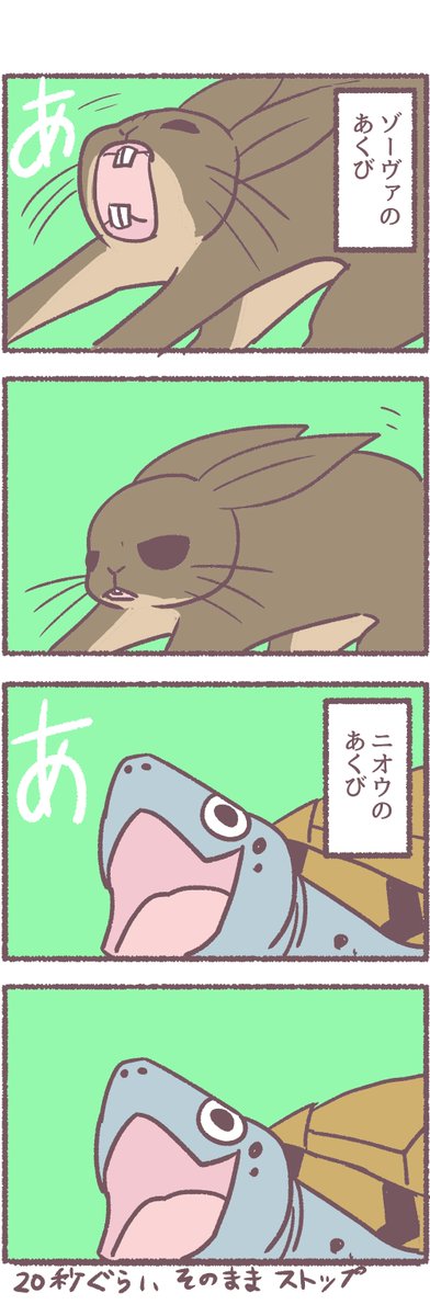 ウサギとカメ比較🐰🐢🐢 #観世あみ作品投稿祭り毎朝7時30分 