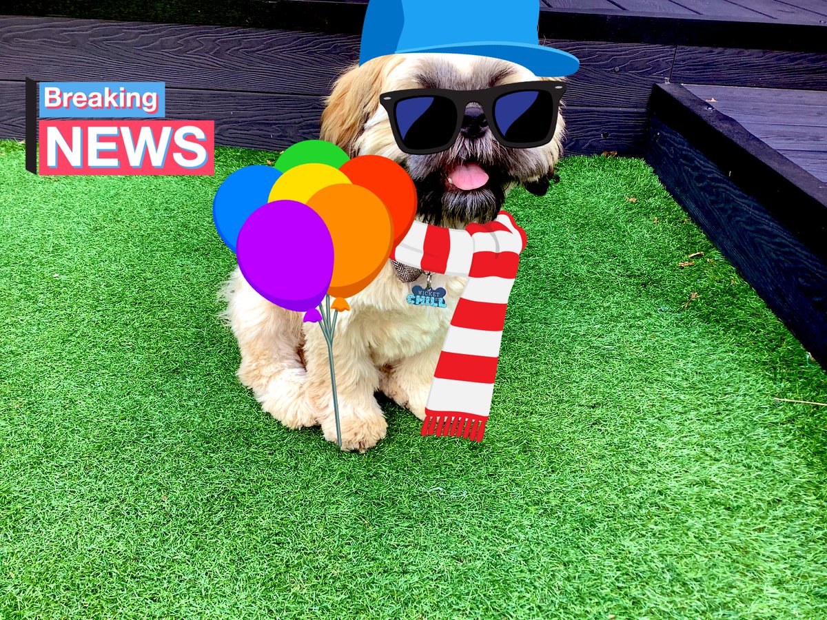 Benny Fitzpatrick tweet media