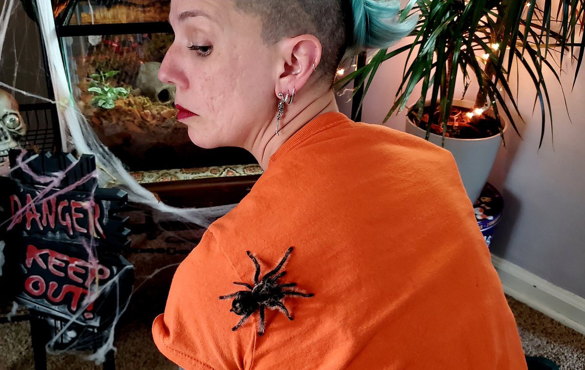 Sooooo... this is a thing that happened today.