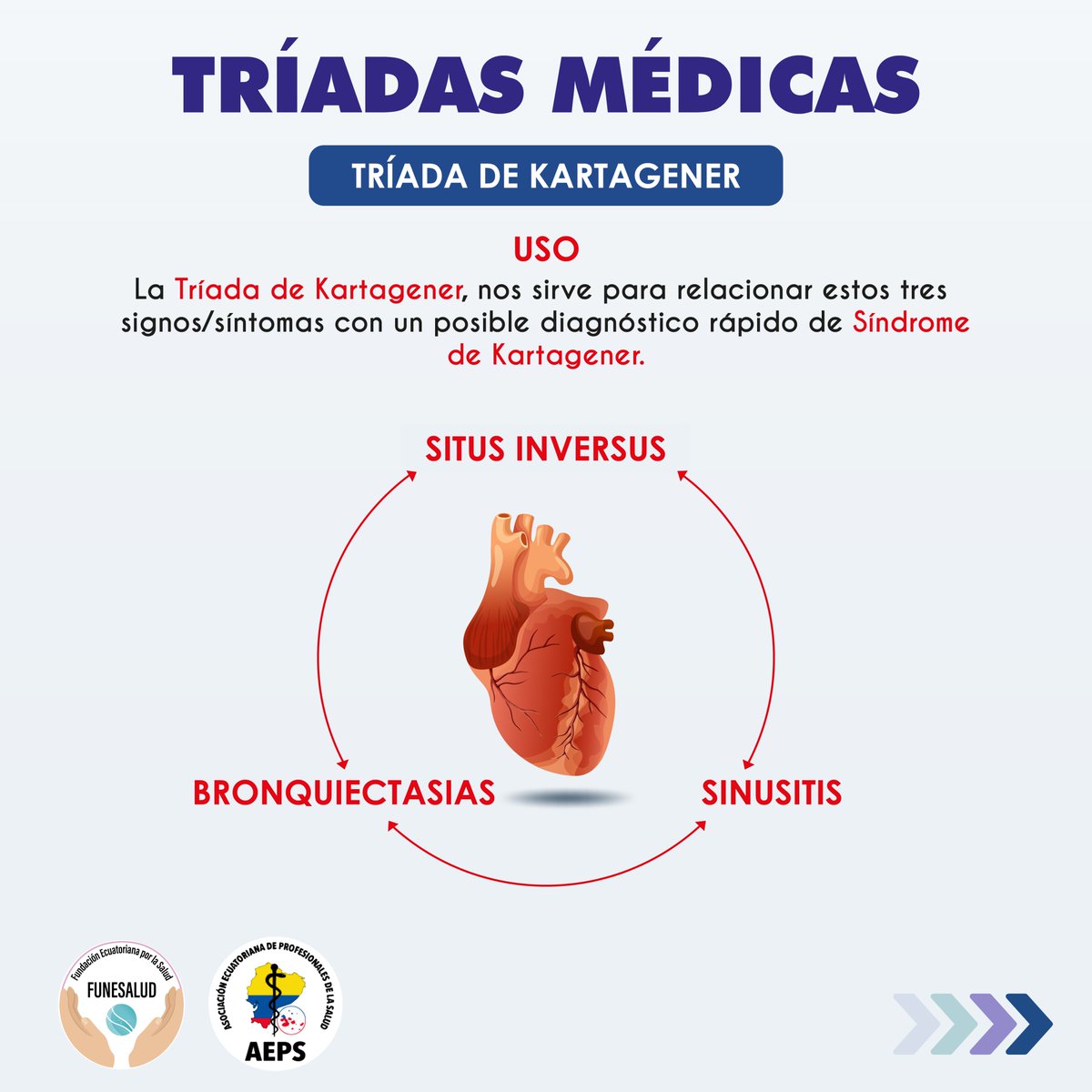 FuneSalud's tweet photo. ⚕️👨🏻‍⚕️📚💉👼 𝐓𝐫í𝐚𝐝𝐚𝐬 𝐌é𝐝𝐢𝐜𝐚𝐬
.
.
✅Comparte 
✅Menciona a tus colegas
✅Guarda esta publicación
.
.
.
No olvides de seguirnos
➡️ @aepsalud 
➡️ @funesalud
.
#triadasmedicas  #ecuador #medical #prevención 
#TRAIDAS https://t.co/nAA6RI5DYM