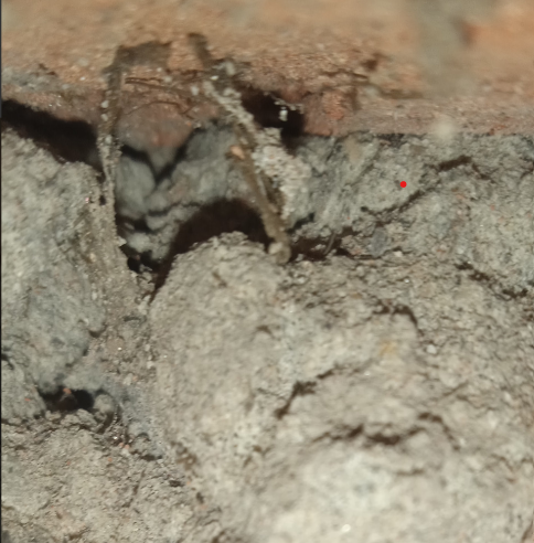 thebugggsnft's tweet image. 🎁The Bugggs NFT WL Giveaway🎁

30 x WL Spots     

To enter: 
1⃣ Follow 
@thebugggsnft

2⃣ RT + Like
3⃣ Tag 2 Friends

24 hours, good-luck! 💜 #NFTGiveaway #ETHW #NFTGiveaways #freemint #solgiveaway #nftgiveaways #nftproject #bugggs

2 Weeks