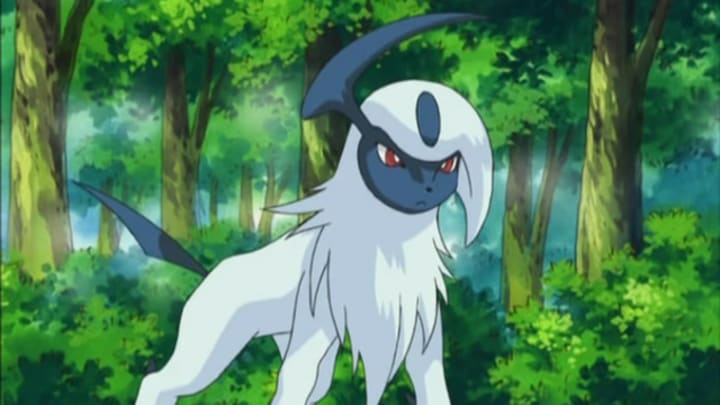 the trainer / the pokemon