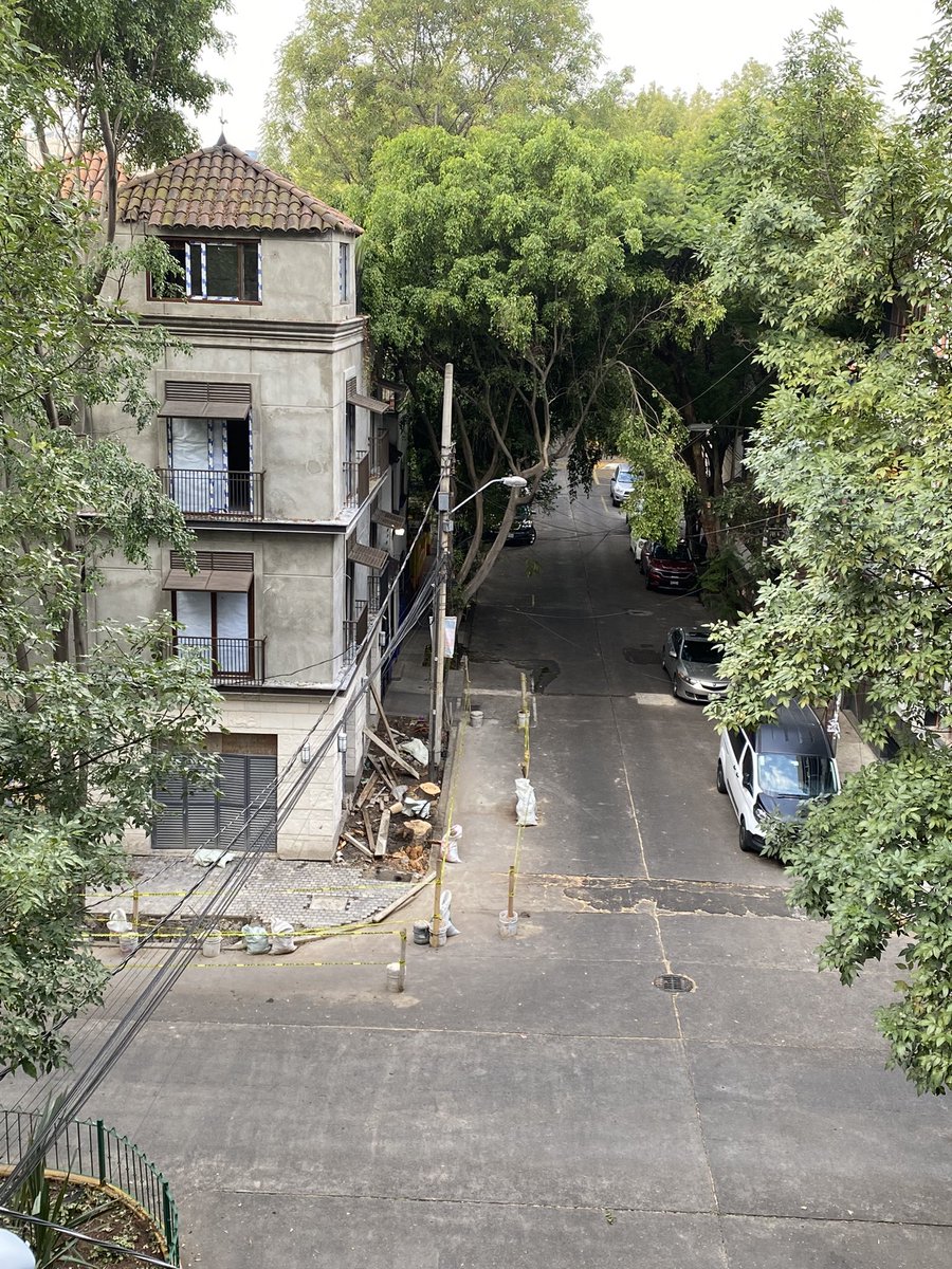 <a href="/SandraCuevas_/">Sandra Cuevas</a> Deberían procesar a tu equipo <a href="/SandraCuevas_/">Sandra Cuevas</a>  <a href="/AlcCuauhtemocMx/">Alcaldía Cuauhtémoc</a> #ECOCIDAS ❗️Por los permisos que dan para talar árboles sanos #Condesa #Campeche416 #LUCIANACONDESA Échense un clavado en #googlemaps #ECOCIDAS