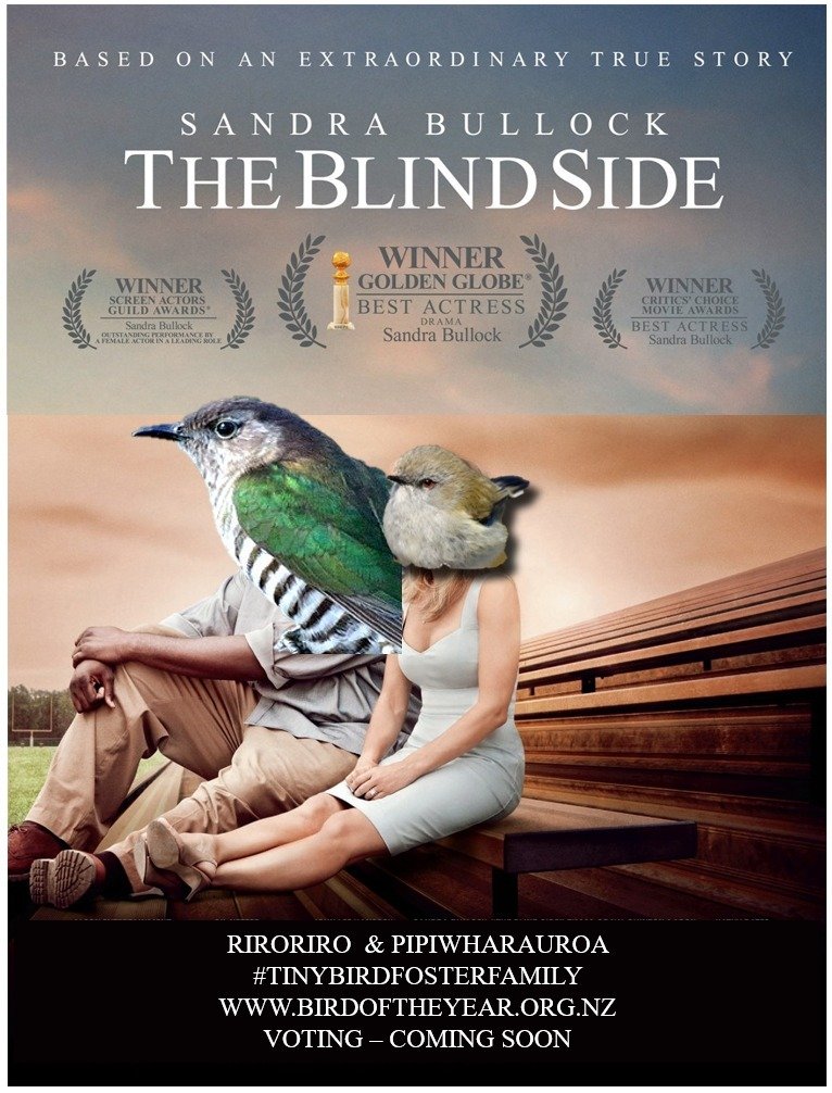 That time we starred in that football movie with The Shining Cuckoo / Pīpīwharauroa about an unlikely foster family.  
.
@forest_and_bird #BOTY2022