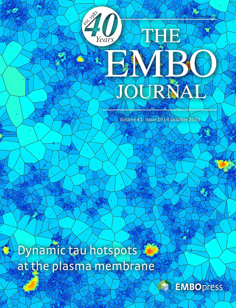 QldBrainInst's tweet photo. Congratulations lead author @PraneshPadmana1 and the lab of @AustraliaGoetz for having their research highlighted on the cover of @embojournal.
Discover the research: https://t.co/hogbgQVvlz
#QBI #Dementia #AlzheimersDisease #GötzLab #EmboJournal #UQResearch https://t.co/aXL83EWMj6