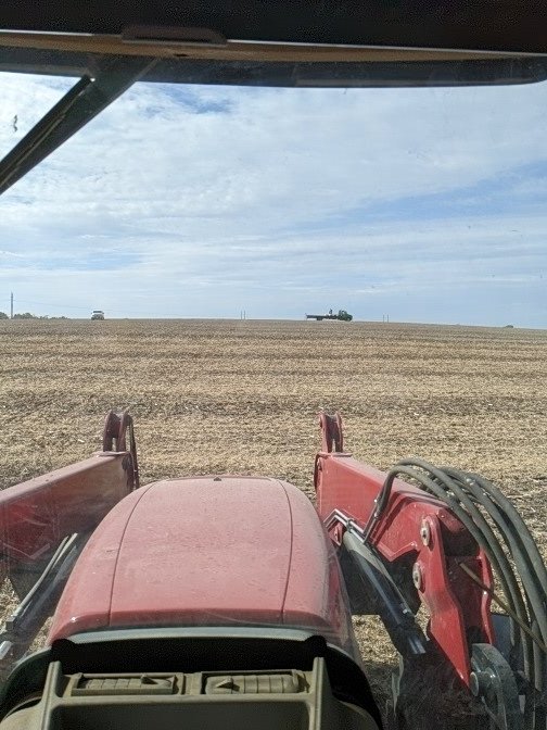 The Wheat Team tweet media