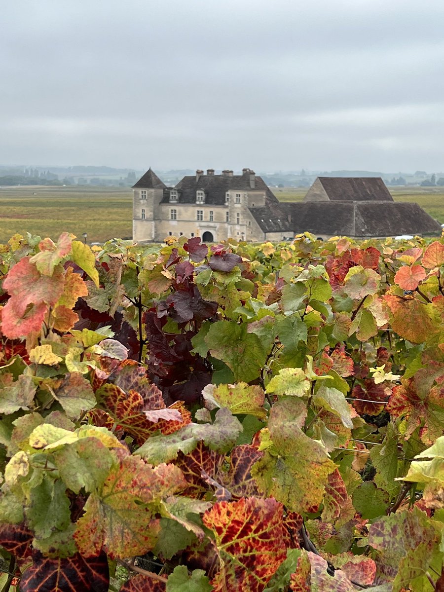 I love autumn in the Côte d’Or!  ⁦<a href="/BFC_Tourisme/">En Bourgogne Franche-Comté</a>⁩