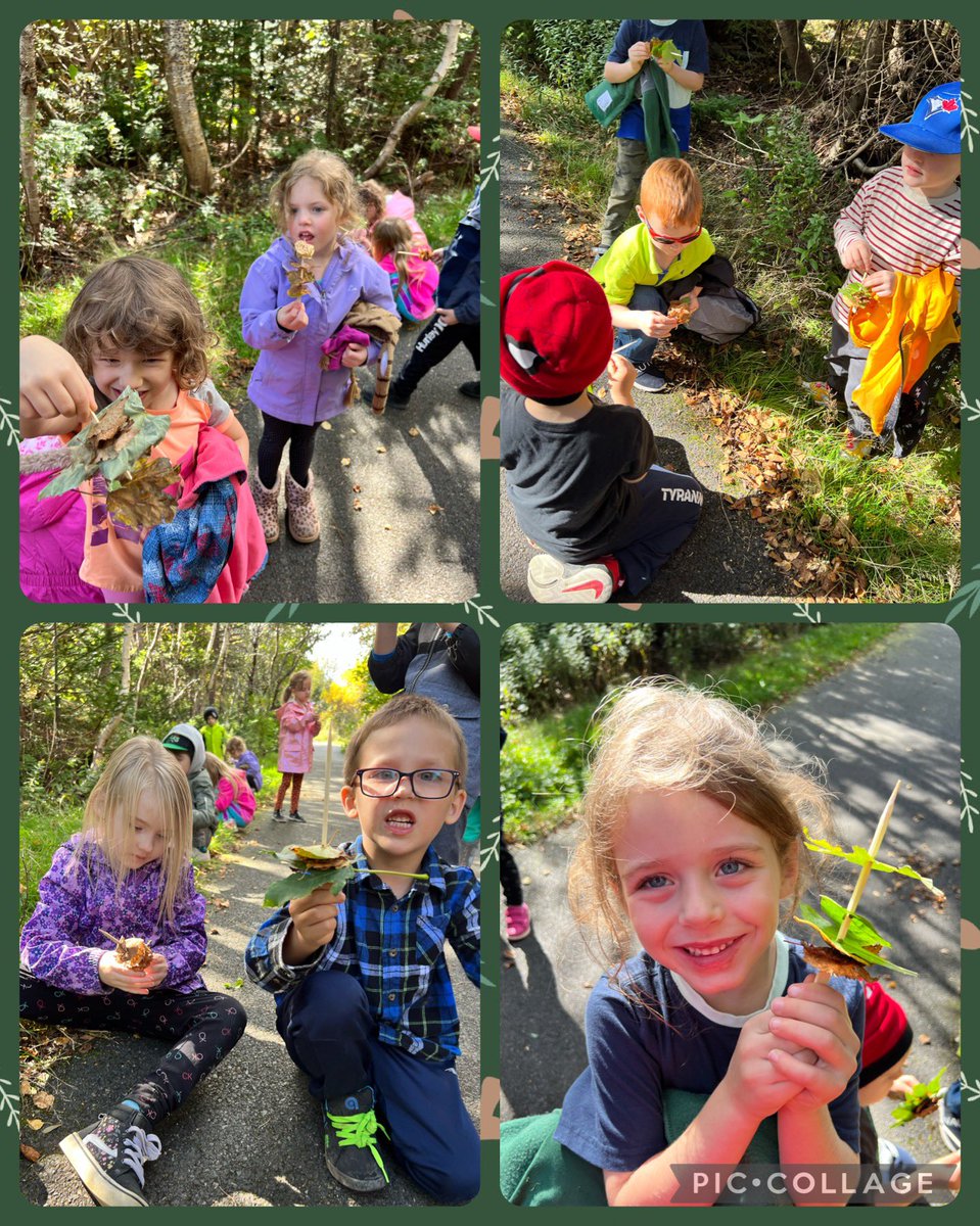 JenSkanes1's tweet photo. Making some leaf kabobs today! #signsoffall #playbasedlearning #outside #science #fall #leaves #KindergartenDays @stpetersprim_mp https://t.co/XRpVaToHyu