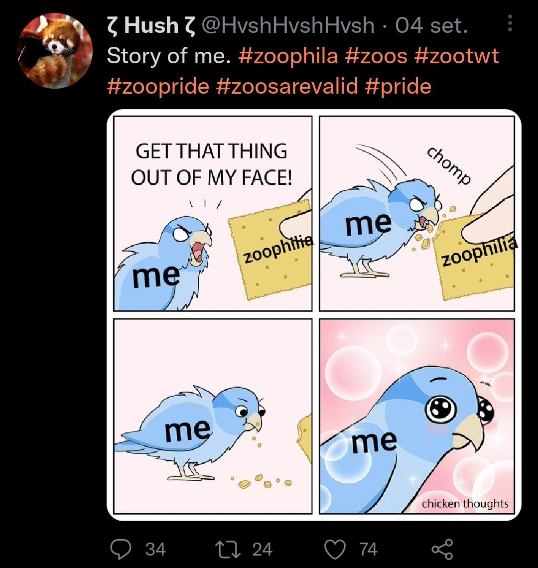 VZoofilos's tweet photo. Tava quase sem conteúdo kkkkkk https://t.co/OvSuP1rGRI