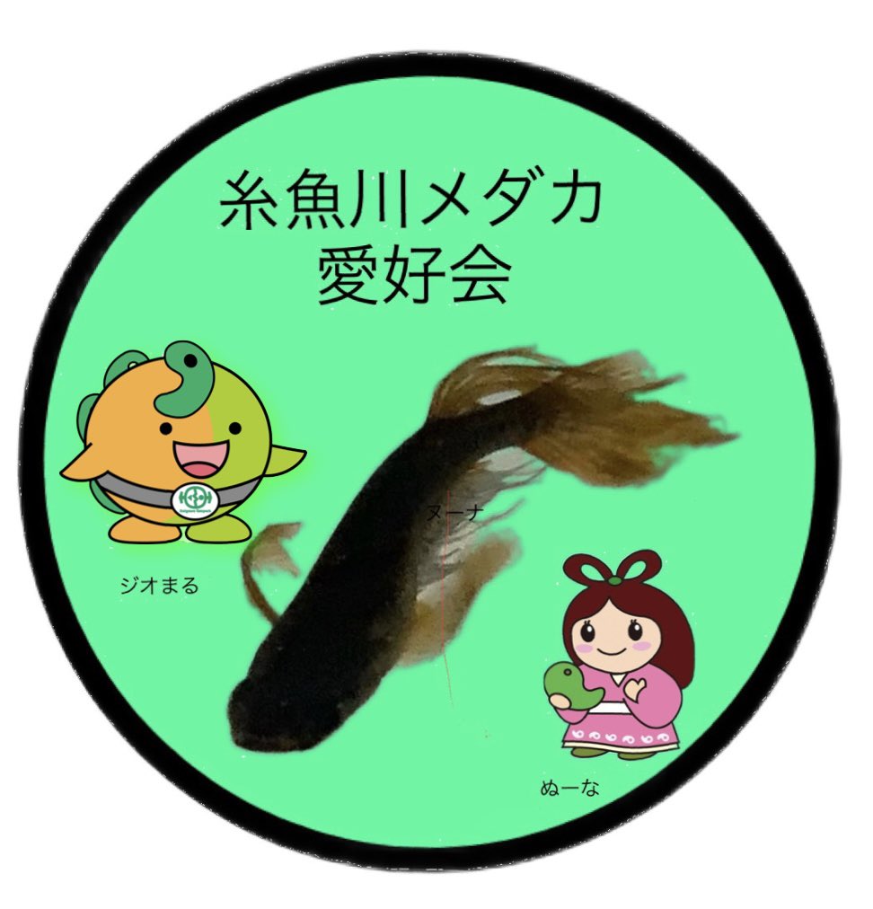 carbons_tuber's tweet photo. 糸魚川メダカ愛好会のロゴパターン2
こちらのデザインも糸魚川市より、使用許可を頂きました😊

ステッカー作成中です。 https://t.co/WLgbnYzMkK