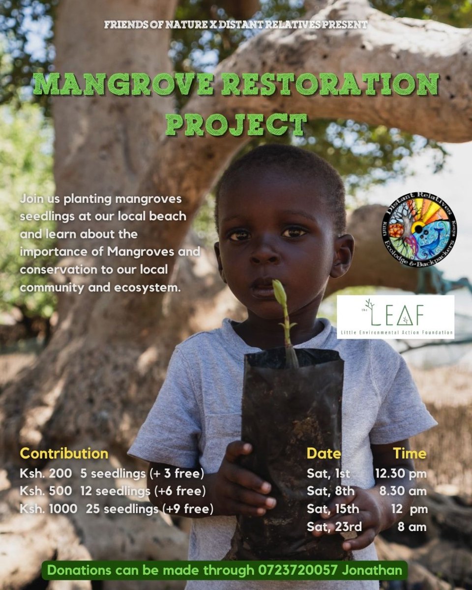 ElimuNaKaziKE's tweet photo. Be the Shujaa this October...The more we plant the more we protect our ecosystems, the more the carbon we capture and the more the oxygen we produce. @BandaRoberts @KPCG003 @kenya_climate @KilifiEcoLodge @m_m_almas @MakongoCollege @Mikeoundo @cenvi_graphics @YouthJijenge https://t.co/3oAtFIpeh2
