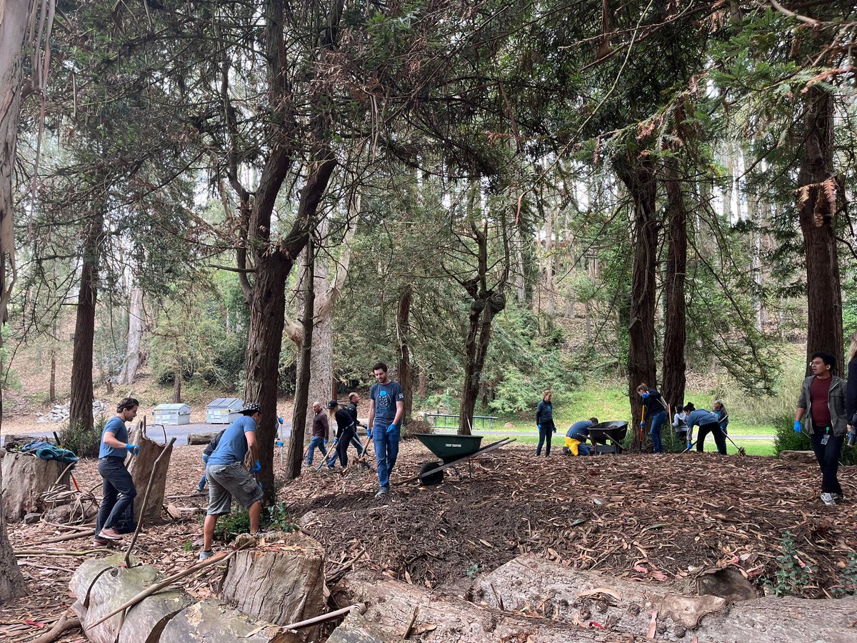 Maintaining a clean and healthy forest is so important. 🌳🌎 Thank you to the #CloudGivesBack2022 volunteers for helping <a href="/RecParkSF/">San Francisco Recreation and Park Department</a> clean up Stern Grove.