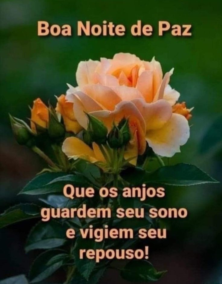 @socorromarques5 @MassimoSDV @Dulcee_Pasionn @nunespereirabr @LeoCabineiro @Klaytonoliver @IfbSdv @Arle_Lynda @cristiangreySDV Obrigada sua querida 😘🌹😘🌹😘🌹🌙✨

Boa noite a todos 🌹😘🌙✨

🌵🌻
@socorromarques5
                          🌻🌵