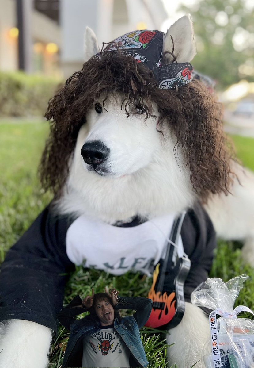 JessicaPleva's tweet photo. I present to you, Eddie Munson(aka Echo) of stranger things https://t.co/x51VJ7Yybl