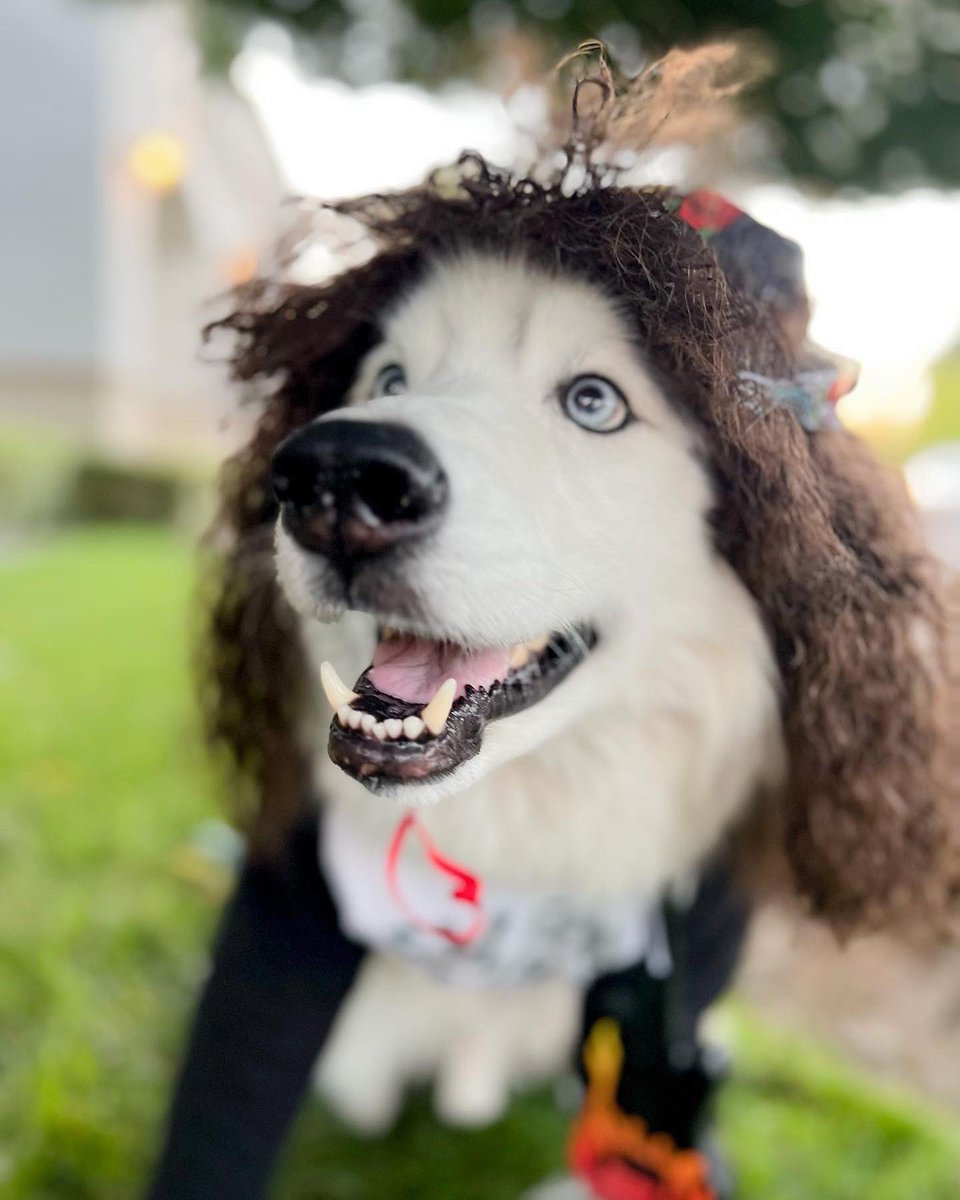 JessicaPleva's tweet photo. I present to you, Eddie Munson(aka Echo) of stranger things https://t.co/x51VJ7Yybl