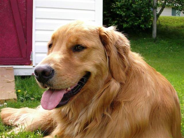 Toddthornton7's tweet photo. Seven…..he was such a wonderful friend, miss him dearly https://t.co/pAj74CCrsU