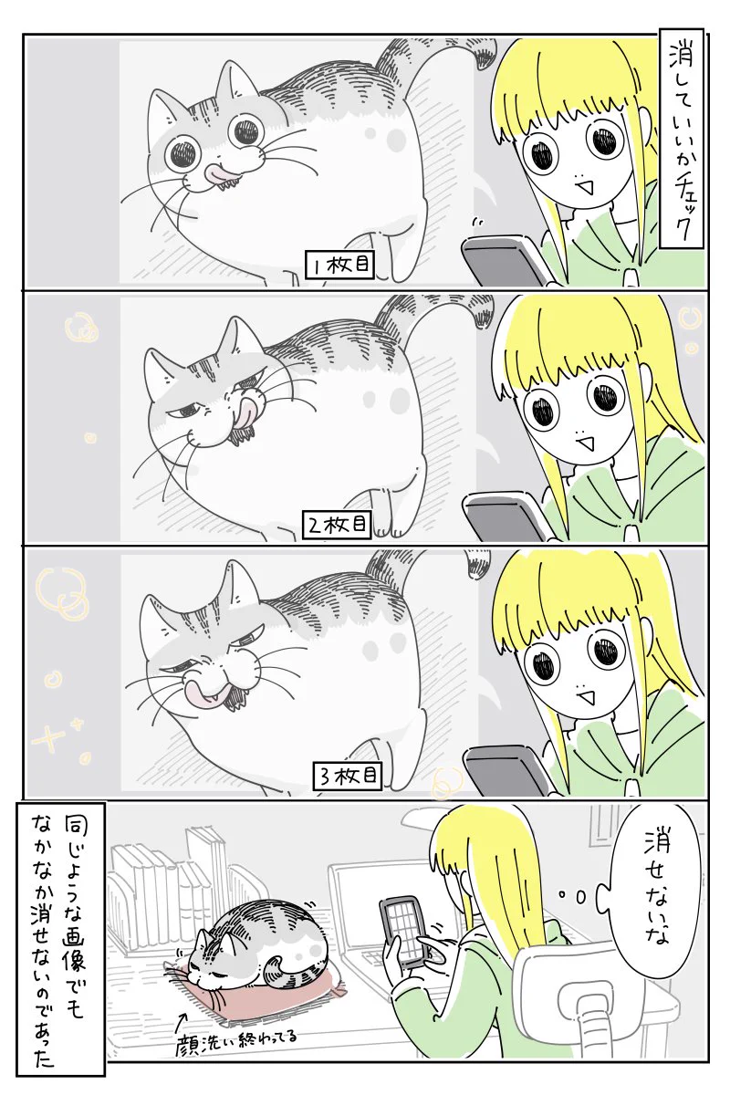可愛い姿を撮ろうとするも容量がいっぱいで･･･！とある猫漫画が話題に！