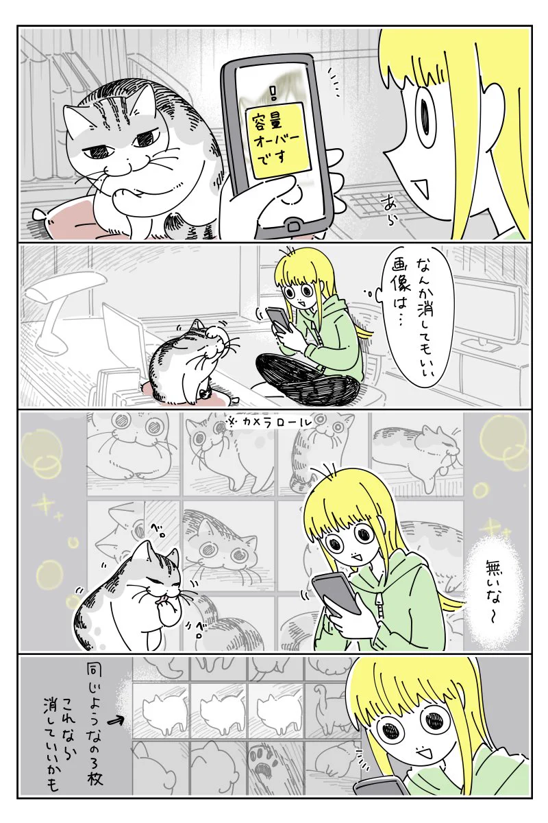 可愛い姿を撮ろうとするも容量がいっぱいで･･･！とある猫漫画が話題に！