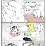 可愛い姿を撮ろうとするも容量がいっぱいで･･･!とある猫漫画が話題に!