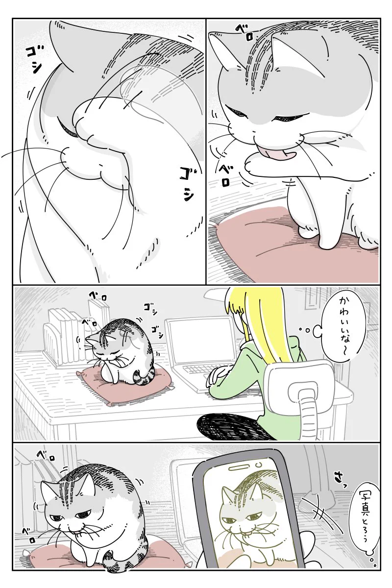 可愛い姿を撮ろうとするも容量がいっぱいで･･･！とある猫漫画が話題に！