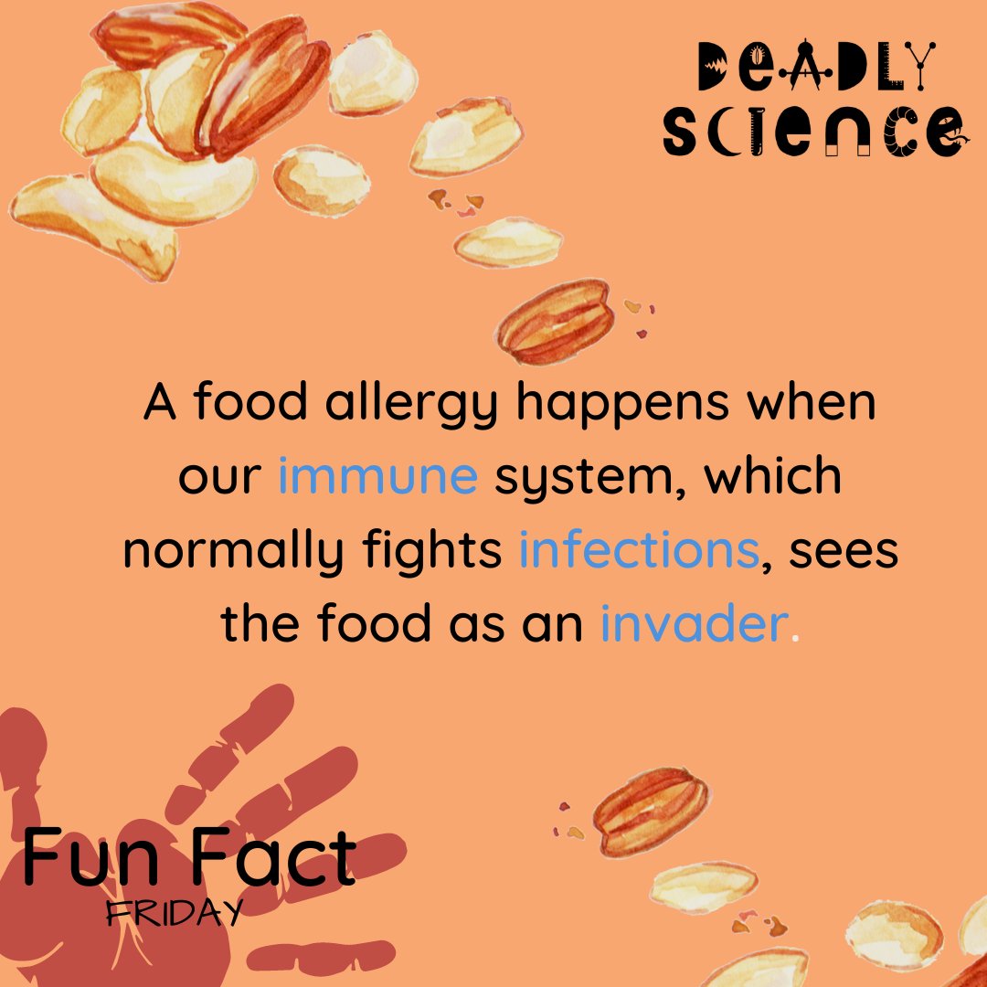 DeadlyScience's tweet image. Did you know Australia has the highest incidence of food allergy in the world? 😮

Give this fact a share &amp;amp; consider a donation to help us inspire the next generation of DeadlyScientists: deadlyscience.org.au/donate/

#STEMEducation #STEMForKids #StemAustralia #FoodAllergyAwareness