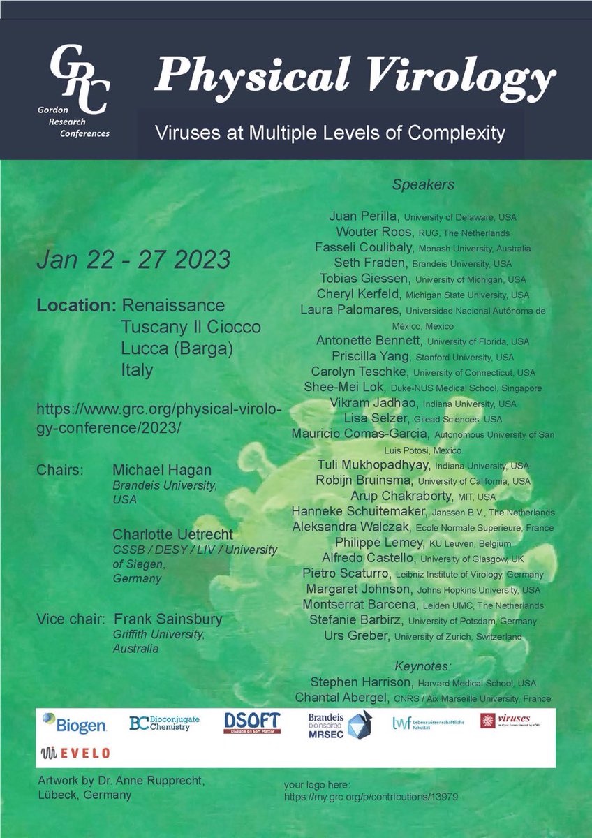 shee-mei lok tweet media