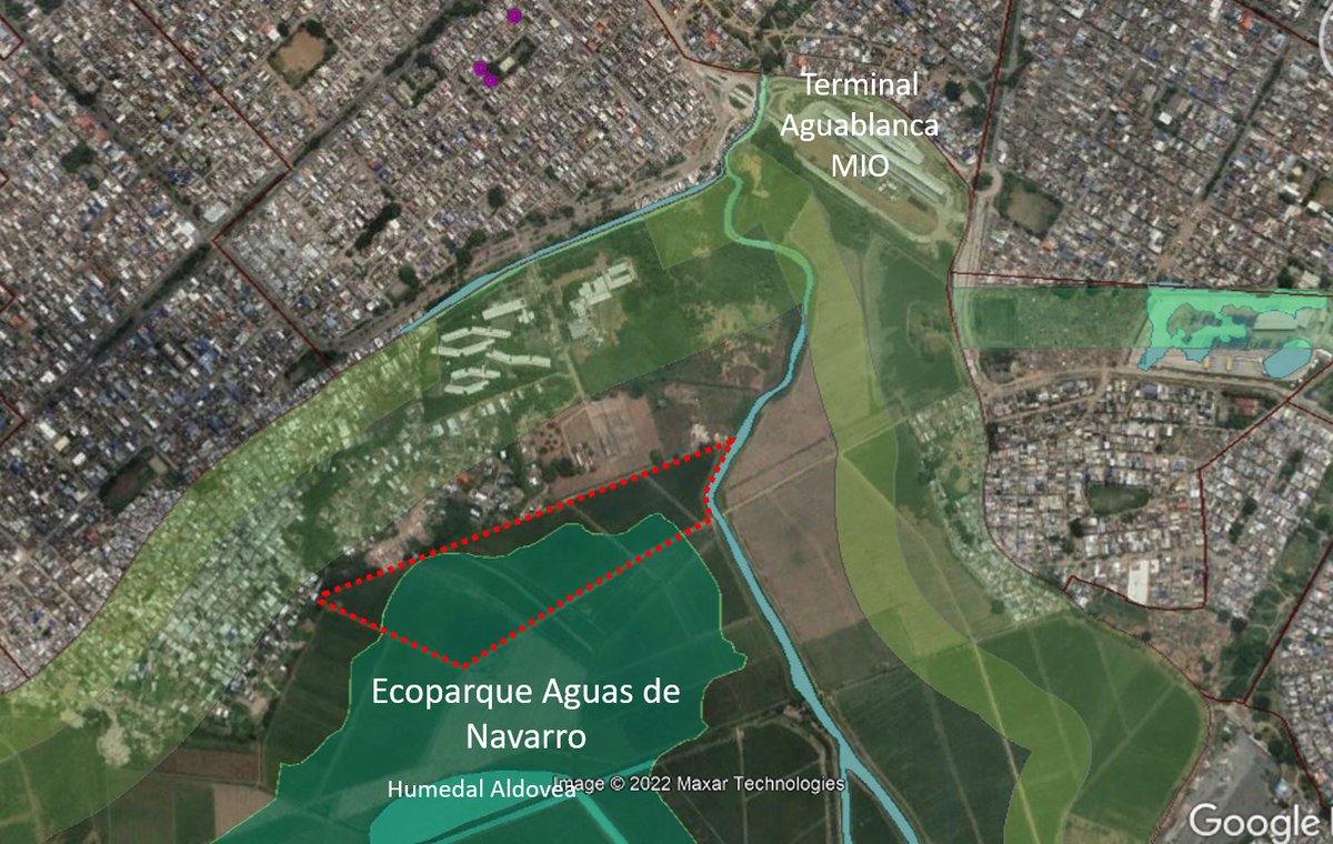 Julián Esteban Ricci tweet media