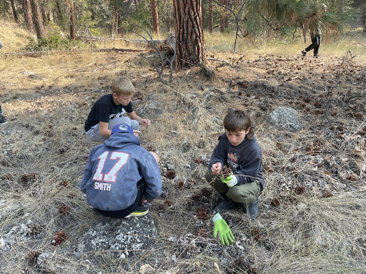 A powerful day of learning on the land. Day 1: Antelope Brush Restoration Project. Sienna gifted us with the Okanagan song to start and Syilx knowledge of ant b. In partnership with <a href="/NatureTrustofBC/">The Nature Trust of BC</a> and OASISS students will be stewards of their own plot of land this year 🌱
