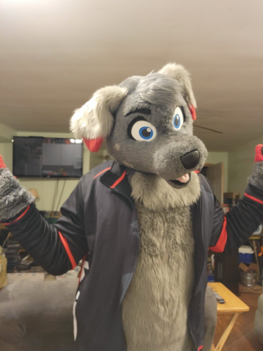BloodPeltWolf's tweet photo. Got my @DTWASuiters Jacket for Ash! I'm so happy and love how it came out! Thank you @RavenGG for this! @AshDalmatian https://t.co/wUGVElI6mv