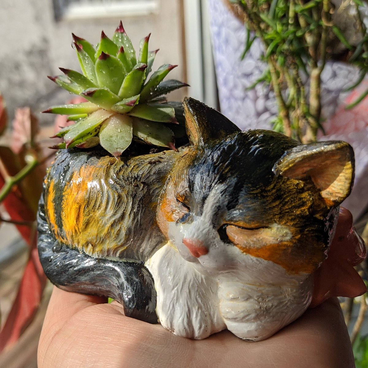 Mandirena_'s tweet photo. ❣️ Personalizado, regalo de cumpleaños de madre a hija.
#Temuco https://t.co/k0uwygBtHj