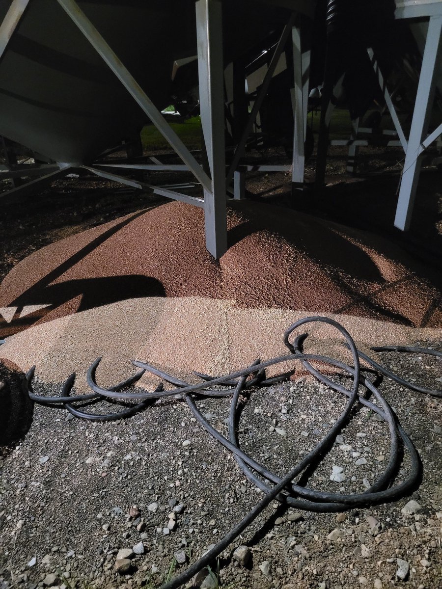 Almost made it to the end of harvest without having a bin incident #harvest22