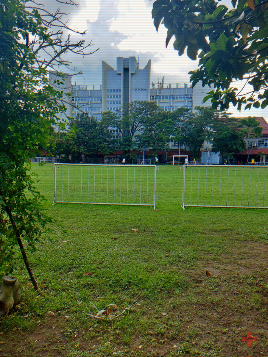 ⠀

⌧　✚ steven.⠀ posted:
　↳ PLM

　Staying in the pamantasan today.

⠀