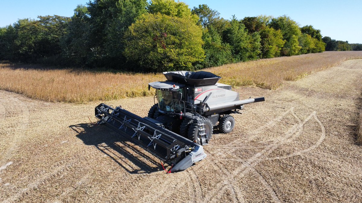fehrboy1's tweet photo. Finally got started on some beans today! #GleanerS96 @GleanerCombines https://t.co/I7A1yArEDQ