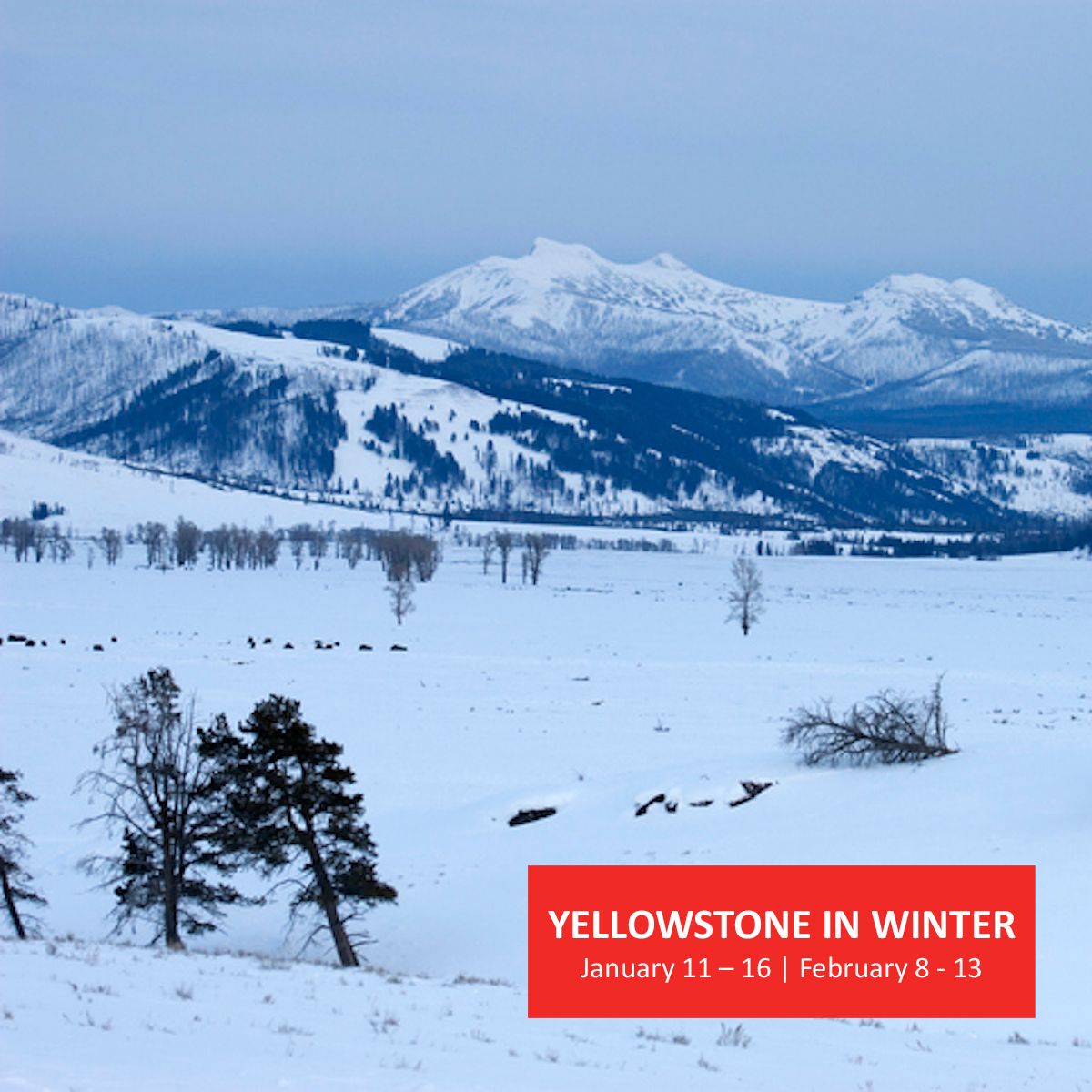 HISTORY Travel tweet media