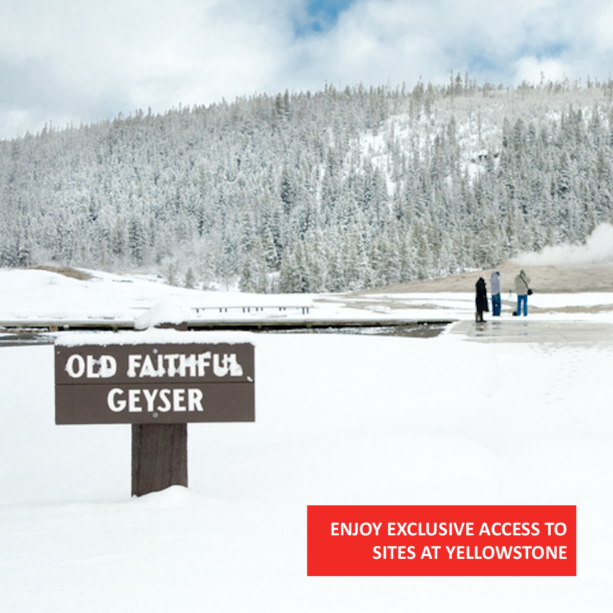 HISTORY Travel tweet media