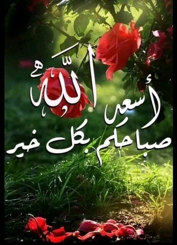 اسحق حسين tweet media